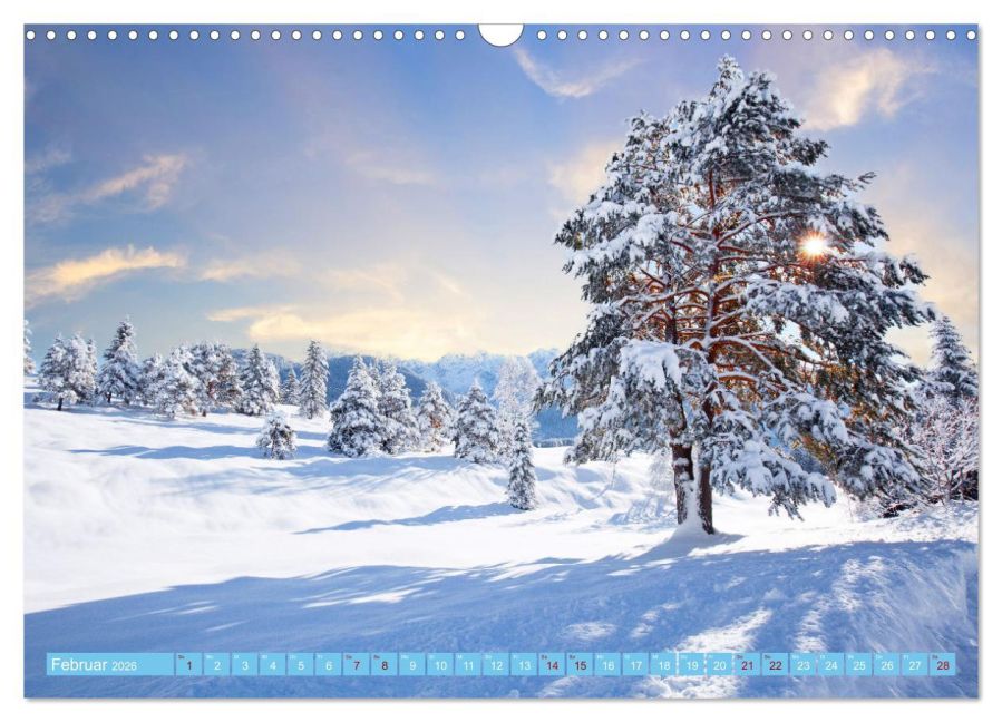 InsideView 7
