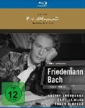 Cover-Bild zum Titel 'Friedemann Bach' von 'Helmut Brandis, Ludwig Metzger, Eckart von Naso, Mark Lothar'