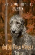 Cover-Bild zum Titel 'Henry David Thoreau's Laundry' von 'Mattie Fern Worrix'