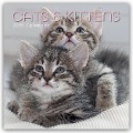 Cats and Kittens - Katzen und Kätzchen 2025 - 16-Monatskalender - Gifted Stationery Co. Ltd