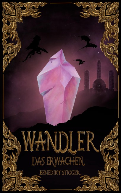 Wandler - Das Erwachen - Benedikt Stigger