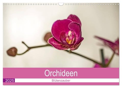 Blütenzauber Orchideen (Wandkalender 2025 DIN A3 quer), CALVENDO Monatskalender - Andrea Potratz