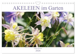 Akeleien im Garten (Wandkalender 2026 DIN A4 quer), CALVENDO Monatskalender - Gisela Kruse