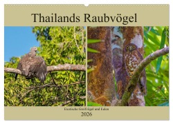THAILANDS RAUBVÖGEL Exotische Greifvögel und Eulen (Wandkalender 2026 DIN A2 quer), CALVENDO Monatskalender - Arne Wünsche