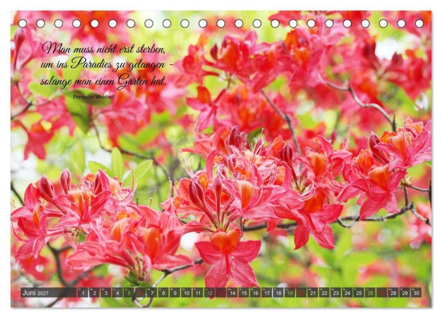 InsideView 11