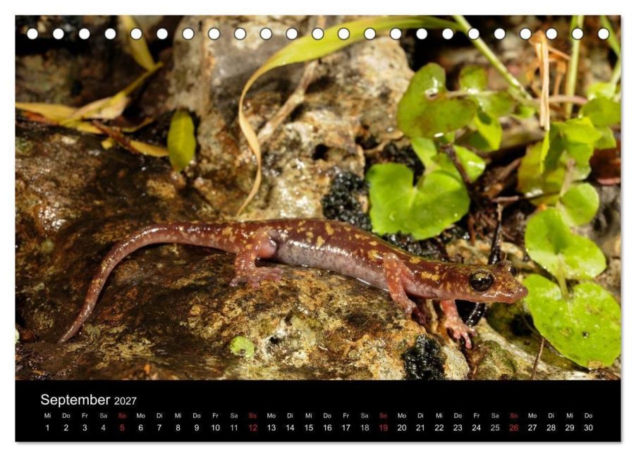 InsideView 11