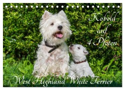 Cover-Bild zum Titel 'Kobold auf 4 Pfoten - West Highland White Terrier (Tischkalender 2026 DIN A5 quer), CALVENDO Monatskalender' von 'Sigrid Starick'
