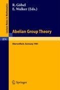 Abelian Group Theory - 