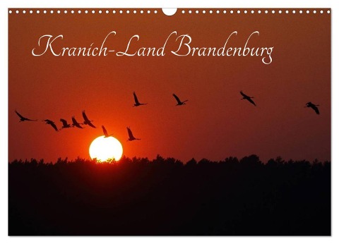 Kranich-Land Brandenburg (Wandkalender 2024 DIN A3 quer), CALVENDO Monatskalender - Klaus Konieczka