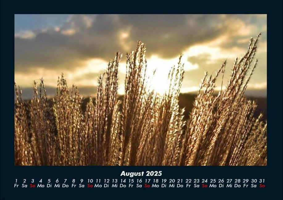 InsideView 12