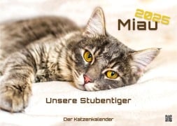 Miau - Unsere Stubentiger - Der Katzenkalender - 2025 - Kalender DIN A3 - 