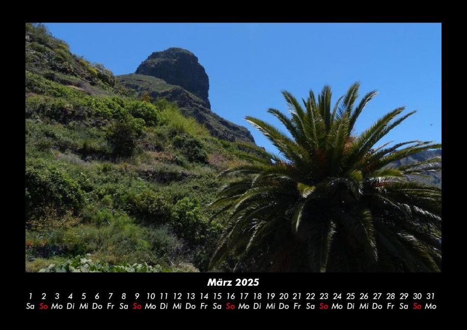 InsideView 7