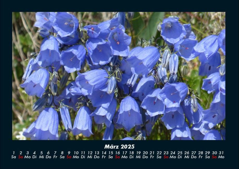 InsideView 7