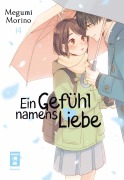 Cover-Bild zum Titel 'Ein Gefühl namens Liebe 14' von 'Megumi Morino'