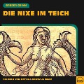 Cover-Bild zum Titel 'Die Nixe im Teich' von 'Brüder Grimm'