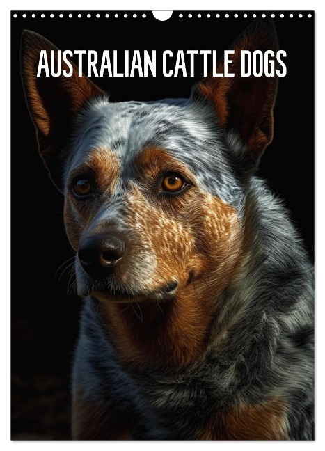 Australian Cattle Dogs (Wandkalender 2025 DIN A3 hoch), CALVENDO Monatskalender - Tim Alberts