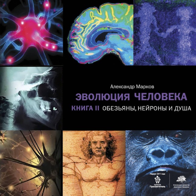 Evolyutsiya cheloveka. Kniga II. Obez'yany, neyrony i dusha - Alexander Markov