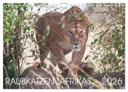 Raubkatzen Afrikas (Wandkalender 2026 DIN A4 quer), CALVENDO Monatskalender - Andreas Lippmann