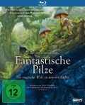 Cover-Bild zum Titel 'Fantastische Pilze - Die magische Welt zu unseren Füßen' von 'Mark Monroe, Adam Peters'