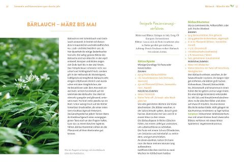 InsideView 4