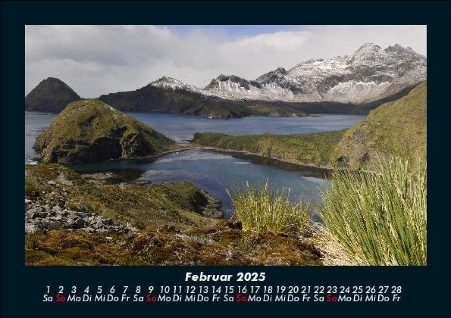 InsideView 6