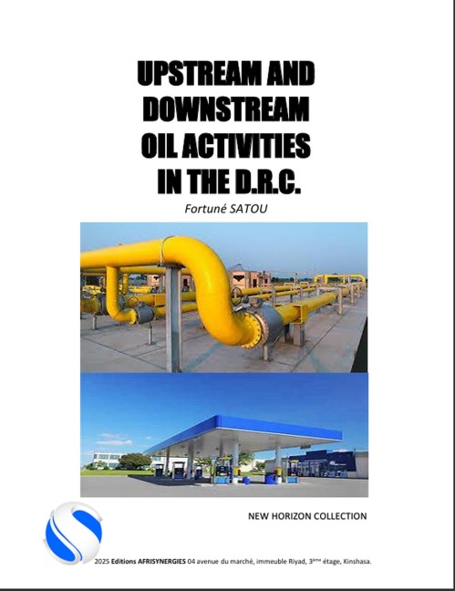 Upstream and Downstream Oil Activities in the DRC (NEW HORIZON COLLECTION, #1) - Fortuné Satou