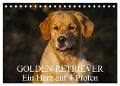 Golden Retriever - Ein Herz auf 4 Pfoten (Tischkalender 2024 DIN A5 quer), CALVENDO Monatskalender - Sigrid Starick