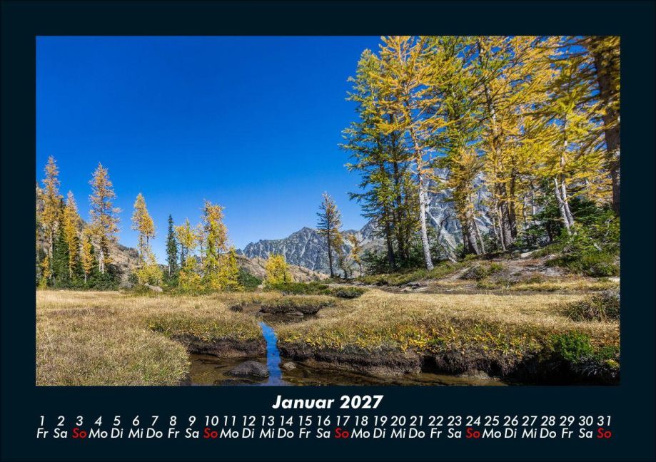 InsideView 5