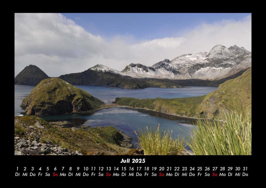 InsideView 11