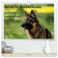 Deutsche Schäferhunde - Senioren auf vier Pfoten (hochwertiger Premium Wandkalender 2024 DIN A2 quer), Kunstdruck in Hochglanz - Petra Schiller