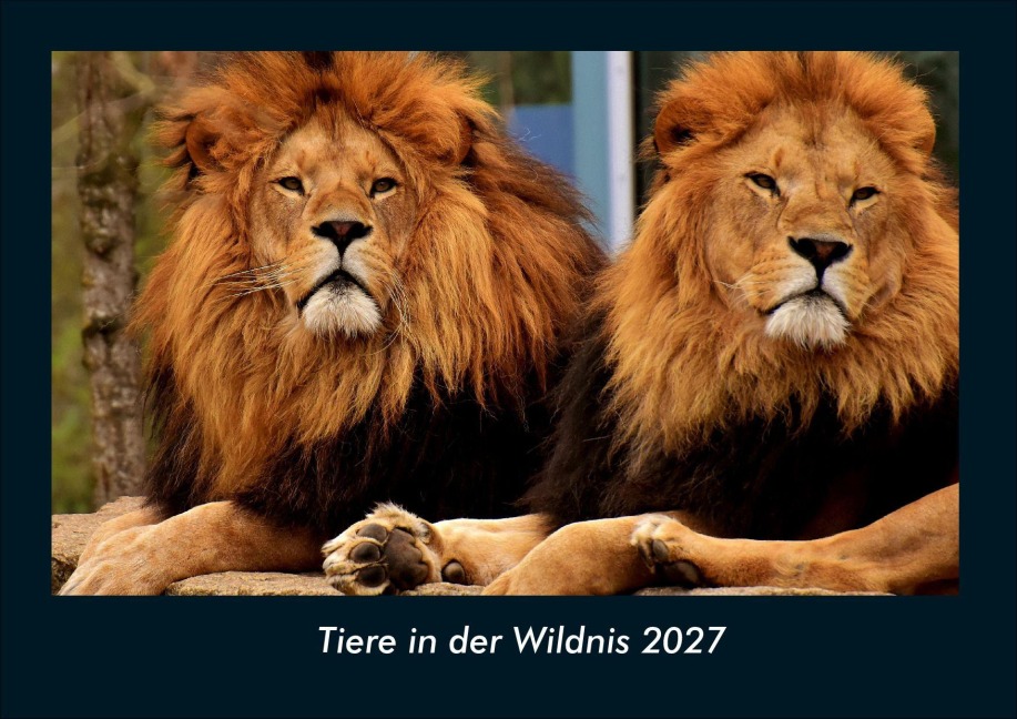 Tiere in der Wildnis 2027 Fotokalender DIN A4 - Tobias Schmitt, Kevin Heber