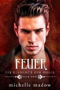 Cover-Bild zum Titel 'Feuer - Die Elemente der Magie 2' von 'Michelle Madow'