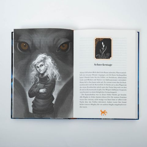InsideView 4