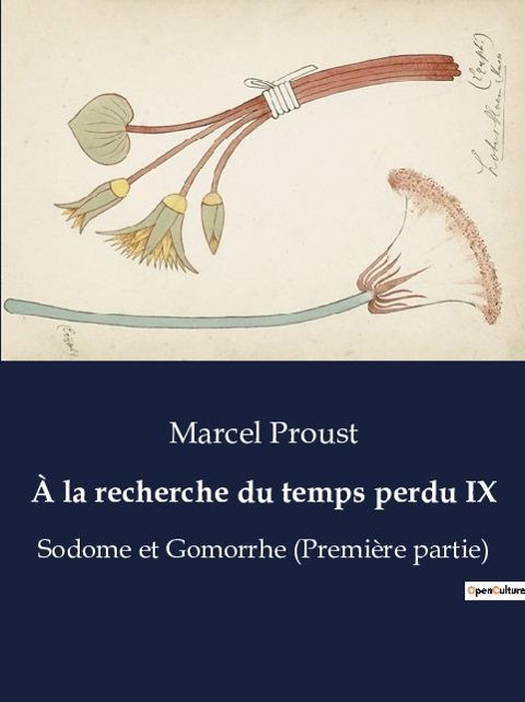 À la recherche du temps perdu IX - Marcel Proust