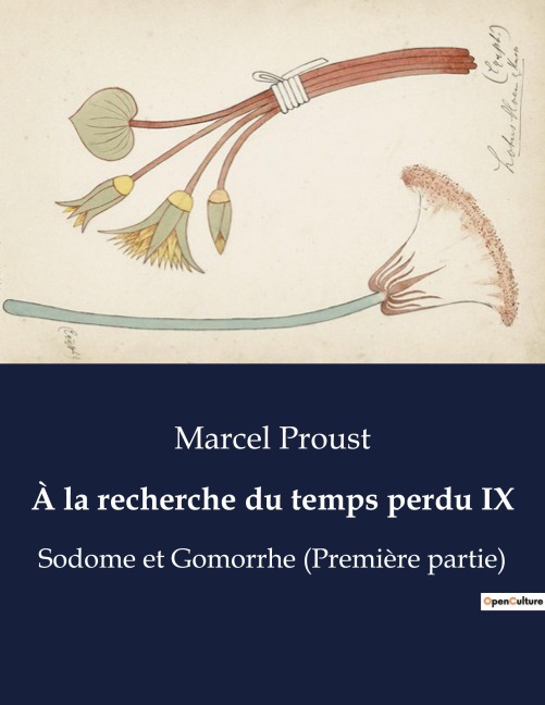 À la recherche du temps perdu IX - Marcel Proust