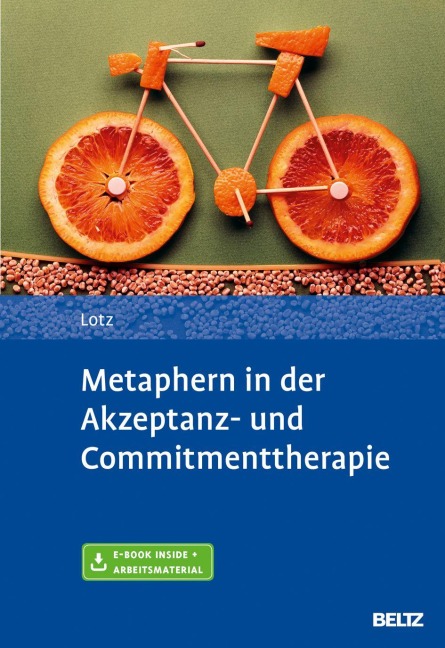 Metaphern in der Akzeptanz- und Commitmenttherapie - Norbert Lotz