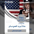 Cover-Bild zum Titel 'Summary of the book What does Uncle Sam want' von 'Noam Chomsky'
