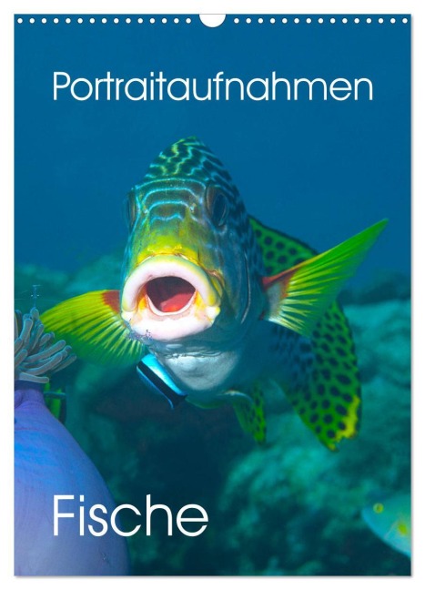 Portraitaufnahmen - Fische (Wandkalender 2026 DIN A3 hoch), CALVENDO Monatskalender - Ute Niemann