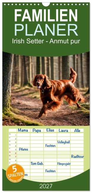 Familienplaner 2027 - Irish Setter - Anmut pur mit 5 Spalten (Wandkalender, 21 x 45 cm) CALVENDO - Claudia Kleemann
