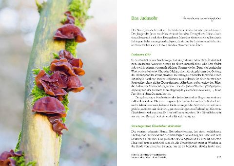 InsideView 10