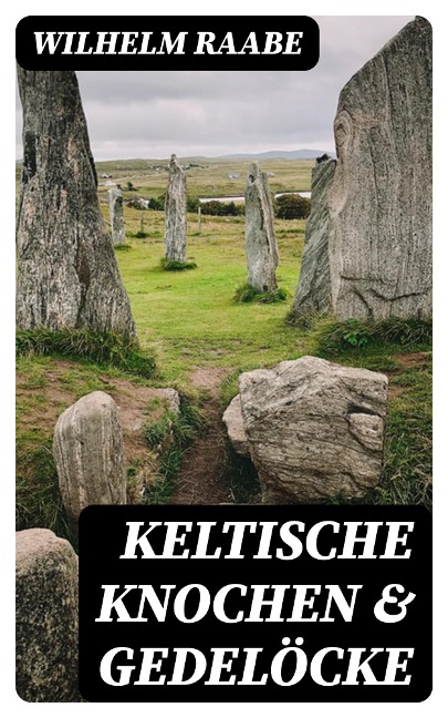 Keltische Knochen & Gedelöcke - Wilhelm Raabe