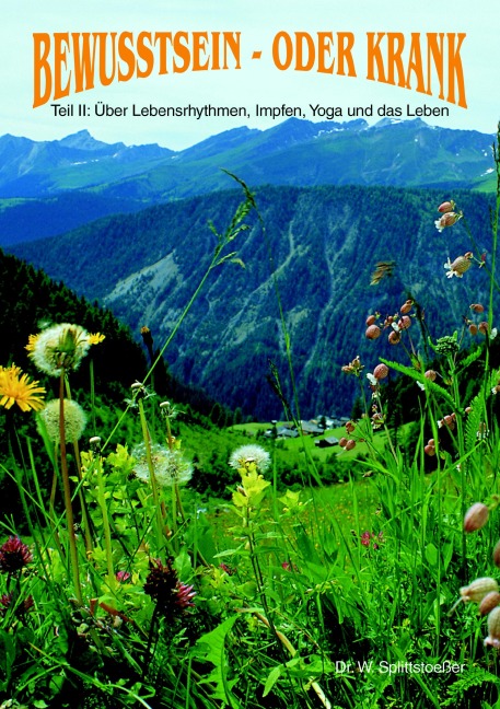 Bewußt sein oder Krank Teil 2 - Wulf Splittstoeßer