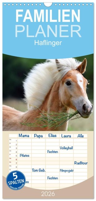 Familienplaner 2026 - Haflinger mit 5 Spalten (Wandkalender, 21 x 45 cm) CALVENDO - Nicole Noack