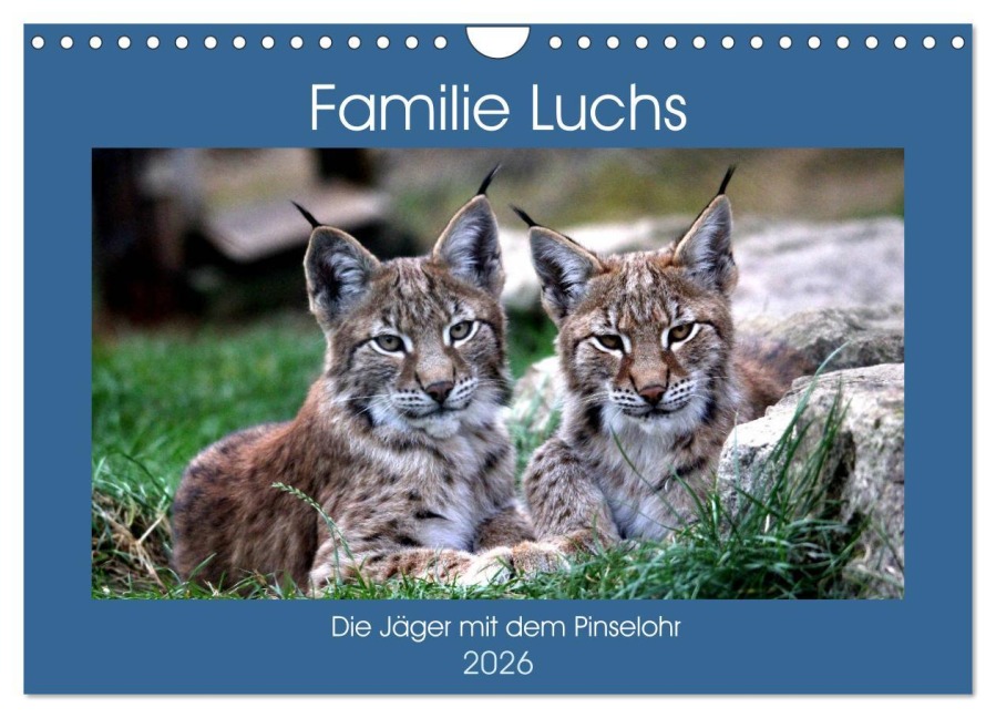 Familie Luchs - Die Jäger mit dem Pinselohr (Wandkalender 2026 DIN A4 quer), CALVENDO Monatskalender - Arno Klatt