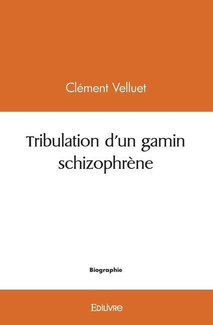 Tribulation d'un gamin schizophrène - C. Velluet