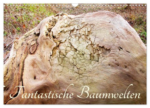 Fantastische Baumwelten (Wandkalender 2025 DIN A3 quer), CALVENDO Monatskalender - Gisela Kruse