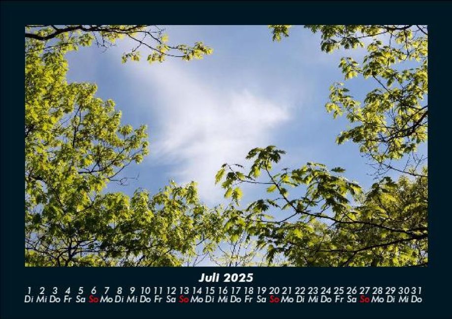 InsideView 11