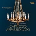 Capriccio appassionato-Werke für Hammerklavier - Aurelia Visova