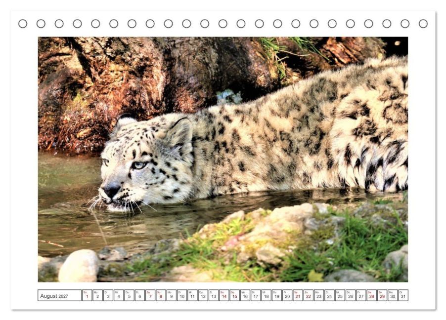 InsideView 13