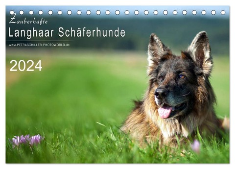 Zauberhafte Langhaar Schäferhunde (Tischkalender 2024 DIN A5 quer), CALVENDO Monatskalender - Petra Schiller